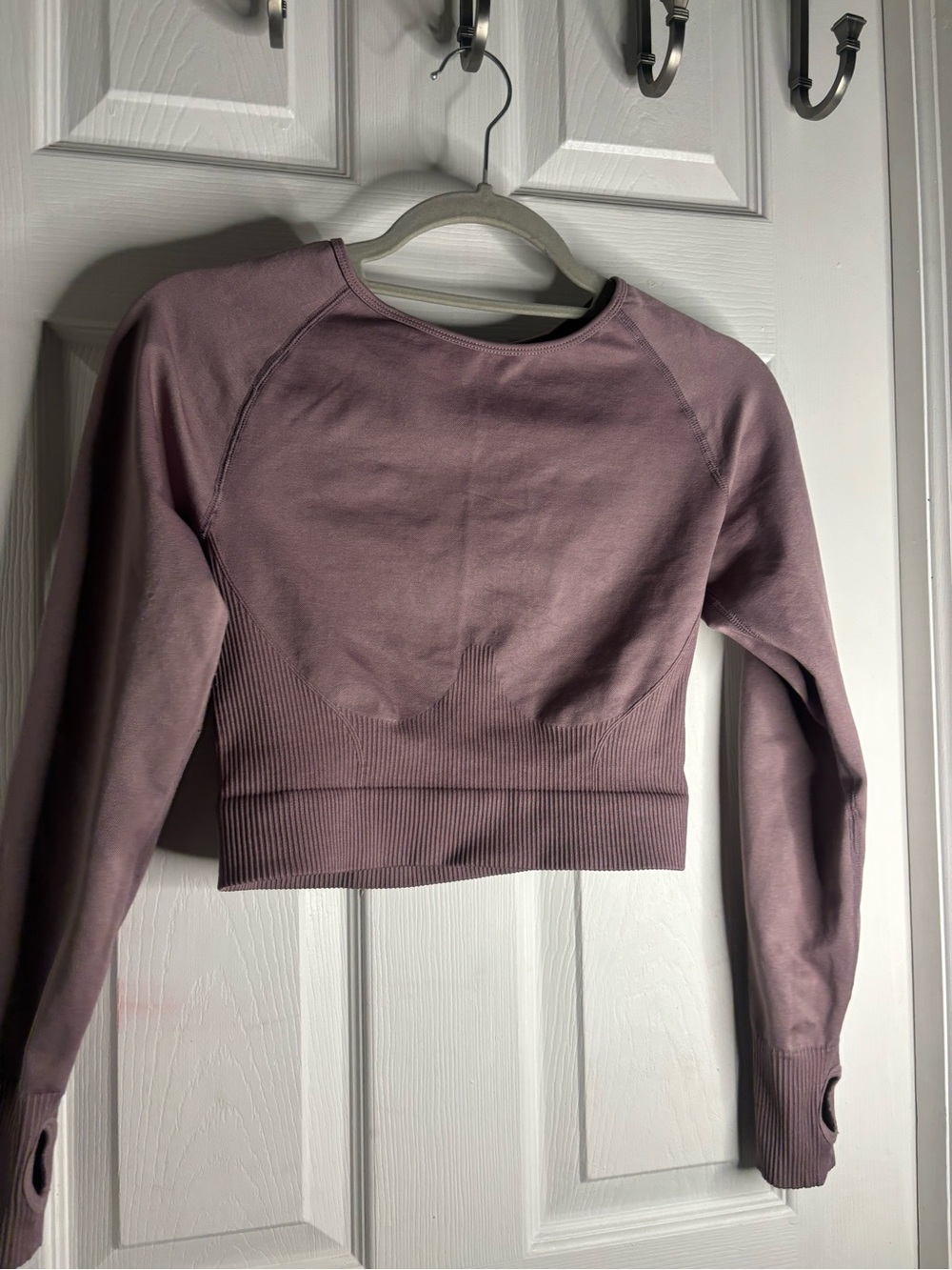 Seamless Long Sleeve Crop Top - Mauve
